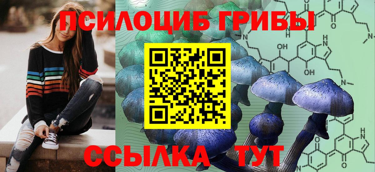 Галлюциногенные грибы прущие грибы  Псилоцибиновые грибы GOLDEN TEACHER  Вход с VPN  Черногорск 