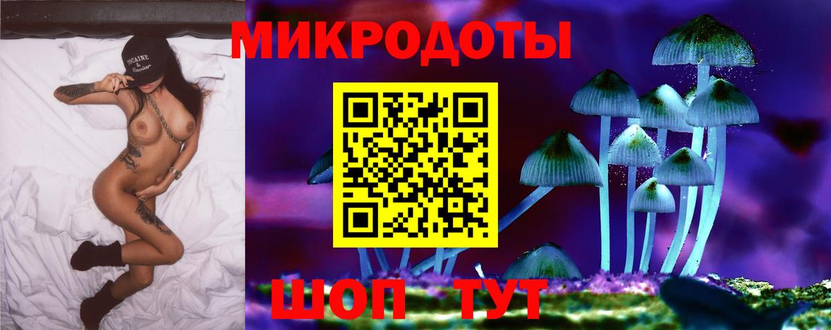 Псилоцибиновые грибы Psilocybe Черногорск